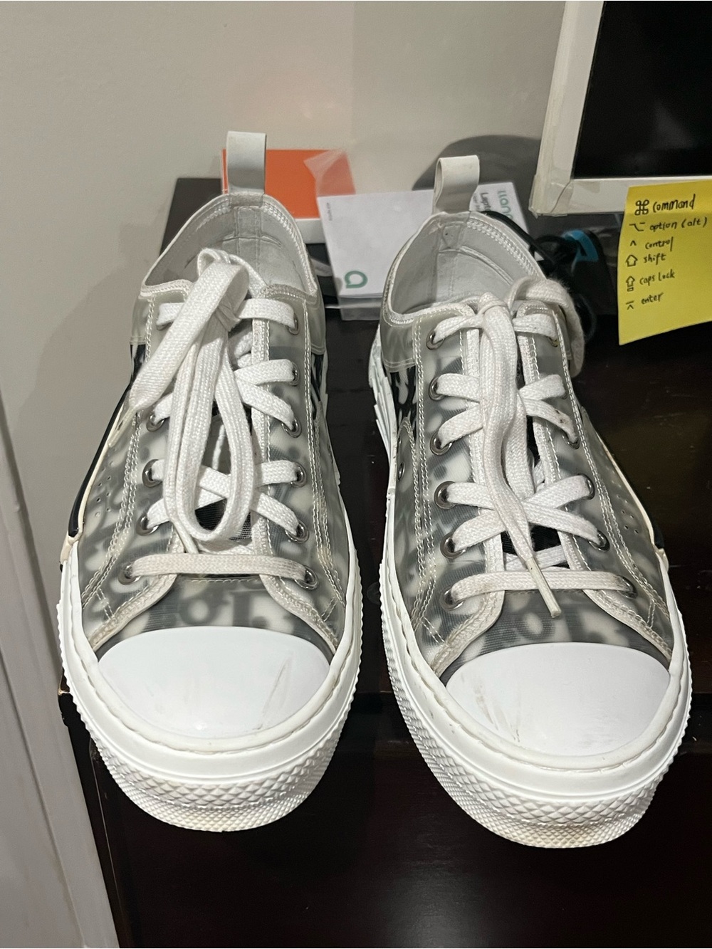 Dior Transparent Gray White Low-Top Sneakers